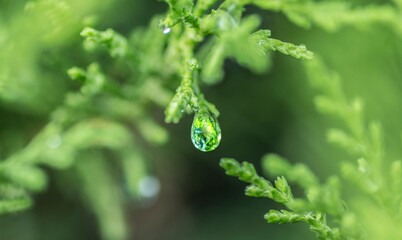 Gota de agua