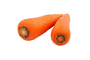 Fresh carrot
