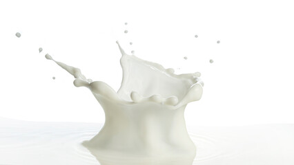 Obraz na płótnie Canvas pouring of milk splash isolated white background