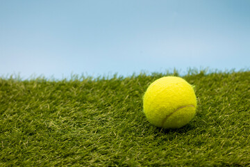 Tennis ball is on green grass
