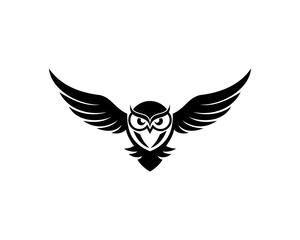 Obraz premium Flying owl with luxury wings silhouette