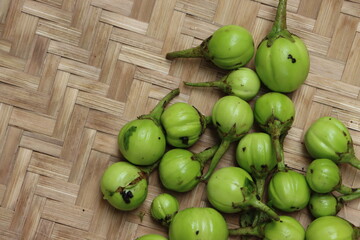 Wild egg plants or brinjal, Solanum aethiopicum, bitter fruits with herbal and medicinal properties