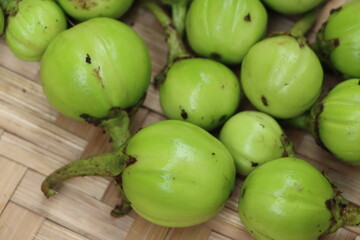 Wild egg plants or brinjal, Solanum aethiopicum, bitter fruits with herbal and medicinal properties