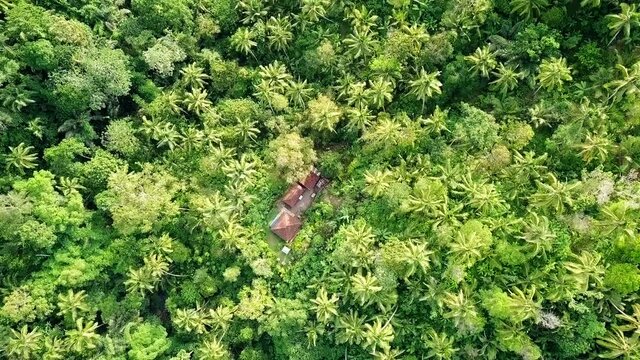 Spinning aerial shot of secluded houses in dense jungle or rainforest in Bali