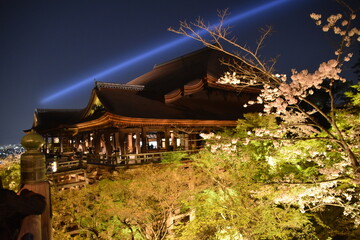 Kiyomizu temple in spring, Kyoto