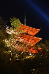 Obraz premium Kiyomizu temple in spring, Kyoto