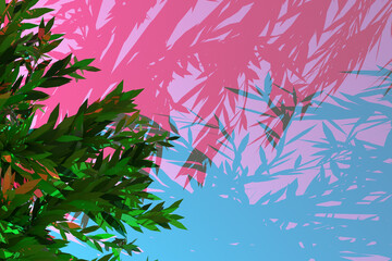 3D illustration close up of the of a large green deciduous tree under pink and blue light with several shadows on a pink background, top view