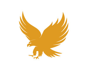 Fototapeta premium Eagle fly with golden colors