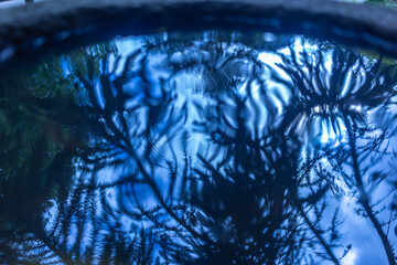 water drops on the glass
