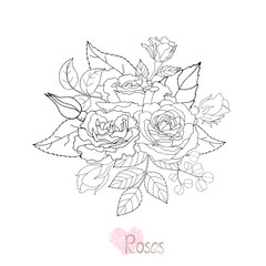 Beautiful black and white rose and leaves. Vector illustration.