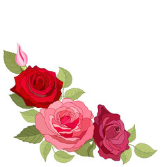 Flowers set. The rose elegant card. Vector illustration.