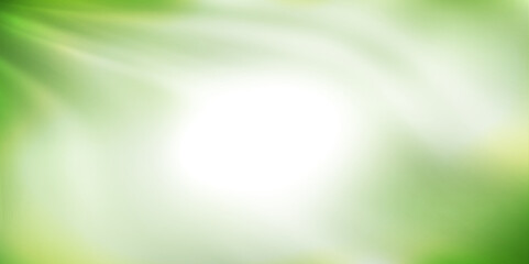 新緑　光　空　背景