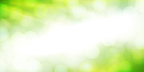 Fototapeta premium 新緑 光 空 背景