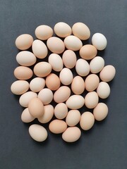 organic egg for a healthy diet with protein and lipids