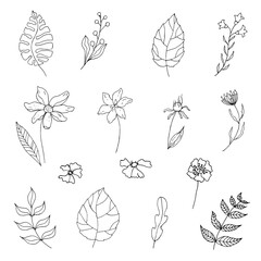 Set of wildflowers. Doodle. Hand drawn vector illustration.