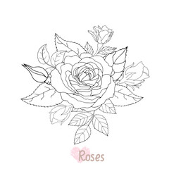 Beautiful black and white rose and leaves. Vector illustration.