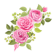 Flowers set. The rose elegant card. Vector illustration.