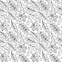 Fototapeta premium Seamless pattern of falling leaves with raindrops. Leaf fall and Rain in the forest. Vector autumn texture isolated on white background, hand drawn in sketch style, black outline