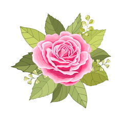 Flowers set. The rose elegant card. Vector illustration.