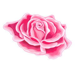 Obraz na płótnie Canvas Flowers set. The rose elegant card. Vector illustration.
