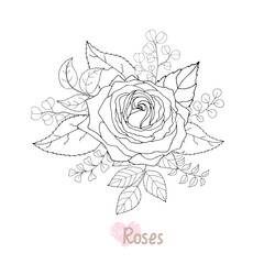 Beautiful black and white rose and leaves. Vector illustration.