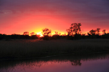 Colorful sunset by the Odra River, Poland.
