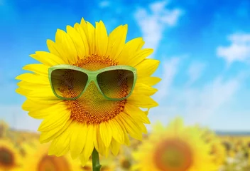 Selbstklebende Fototapeten Gelb Joy.  © BillionPhotos.com