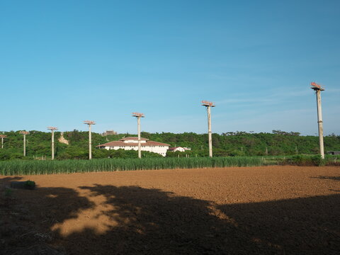 Okinawa,Japan-June 23, 2020: Approach Lighting System of Miyako Airport built in sugar cane field at Miyakojima island, Okinawa, Japan
