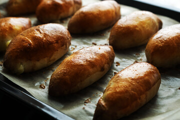 Mouth-watering, delicious fried pies only from the oven. Healthy and satisfying food.