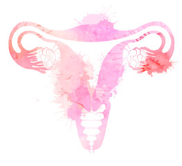 Pink silhouette anatomical uterus with watercolor splashes. Healthy female body. Woman power. Uterus with tube and ovaries. Vector illustration for articles, banners, icon, logo and your design.