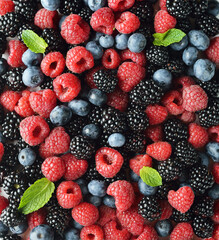 Background from various wild berries