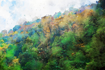 Abstract painting of trees in fall season, nature in autumn landscape image, digital watercolor illustration, art for background