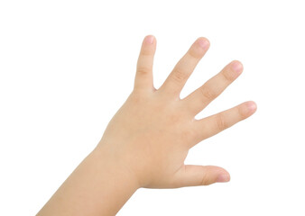 Child hand on a white background without a shadow.