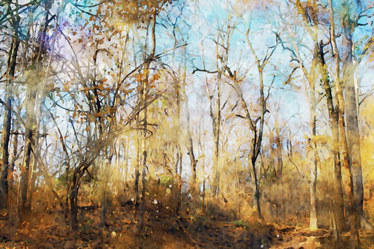 Abstract painting of trees in forest in fall season, nature in autumn landscape image, digital watercolor illustration, art for background