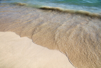 Sandy coast near the sea