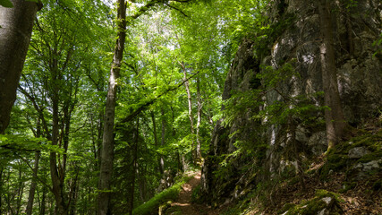 Obraz premium Impressionen der Schwäbischen Alb