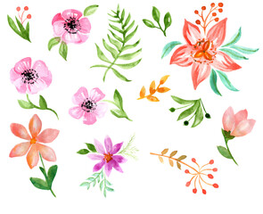 Set of watercolor elements - wildflowers, herbs, foliage. Collection of garden and wild, forest herbs, flowers, branches. Isolated on a white background.