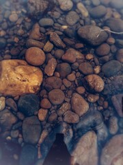 stones in water