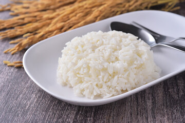 Steamed rice, cooked rice in white plate with rice paddy background
