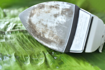 Dirty and sticky electric iron surface on the green banana leaves background