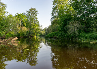 summer landscape with a small forest river, low river calm, summer wild river reflection landscape.