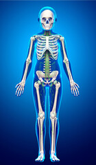 3d rendered medically accurate illustration of a young girl lymphatic system