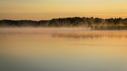 Fototapeta premium Foggy weather early in the morning on the lake. beautiful wallpapers. a mystical mist vibrates in the lake. summer sunrise