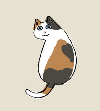 Calico cat
 vector illustration