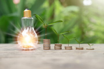Coins arranged in graph neatly stack and light bulb with coin inside shine bright light, Coin grow up on coin and green bokeh light flare, Business, saving money, economic and investment concept.