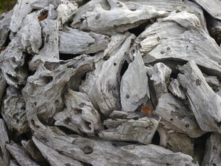 Burr wood stacked, already gray due to the weather, a decorative wall in the park or garden, or stored and waiting for further use. Typical curved root forms