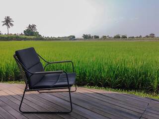 Green rice fields,chair on wooden ground and blue sky.