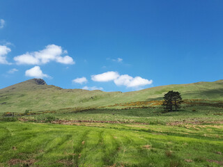 Fototapeta premium Irlands Westküste im Sommer