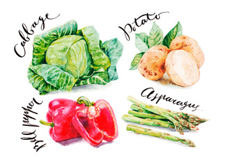 Cabbage, potato, bell pepper, asparagus