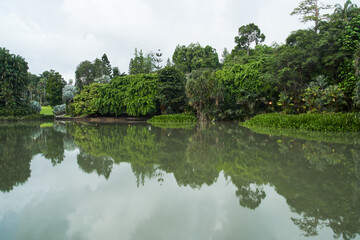 Fototapeta na wymiar reflection of tropical trees near lake on cloudy day